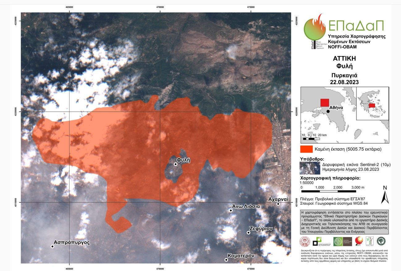 +στη+Φυλή+Αττικής+καμένη+έκταση+5005.75+εκτάρια