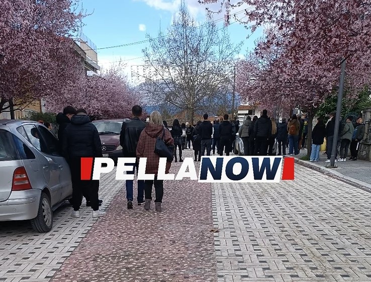 pella 130324