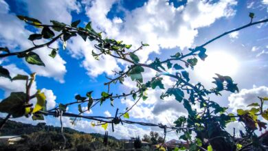 Καιρός:-Ο-Φλεβάρης-παραδίδει…-«αίθρια»-τη-σκυτάλη-στον-Μάρτη