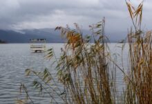 Επτά-στις-δέκα-περιοχές-natura-προστατεύονται-από-ΕΠΜ:-Τι-σηματοδοτεί-η-απόφαση-για-τα-Ιωάννινα