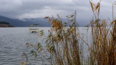 Επτά-στις-δέκα-περιοχές-natura-προστατεύονται-από-ΕΠΜ:-Τι-σηματοδοτεί-η-απόφαση-για-τα-Ιωάννινα