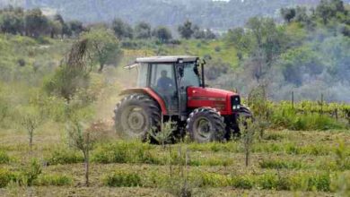 ΑΑΔΕ:-Ξεκινά-η-καταβολή-617,4-εκατ-ευρώ-σε-πάνω-από-1,1-εκατ.-δικαιούχους-αγροτικών-ενισχύσεων