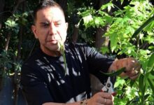 Ο-Γιώργος-Μαζωνάκης-φωτογραφίζεται-ως…-«αγρότης-μόνος-ψάχνει»