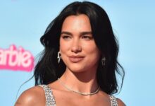 Η-dua-lipa-έφτιαξε-βιβλιοθήκη-με-τα-βιβλία-που-έχουν-λογοκριθεί