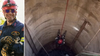 Βίντεο:-Κινηματογραφική-διάσωση-γάτας-από-πηγάδι-στην-Πάτρα,-επιχείρησε-η-ΕΜΑΚ
