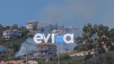 Κατεσβέσθη-η-φωτιά-στην-Ακτή-Νηρέως-στην-Εύβοια