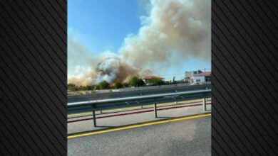 Φωτιά-τώρα-στην-Πυλαία-Θεσσαλονίκης,-ήχησε-το-112-για-εκκένωση-της-περιοχής-Μουσικό-Σχολείο