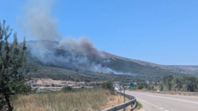 Φωτιά-τώρα-σε-αγροτοδασική-έκταση-στον-Στάνο-Αμφιλοχίας