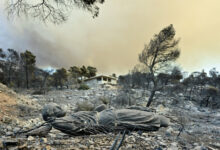 Φωτιά-στην-Αττικοβοιωτία:-Πάνω-από-61.500-στρέμματα-κάηκαν-τις-νυχτερινές-ώρες,-δείτε-χάρτες