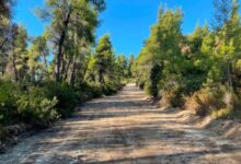Σκέρτσος:-Το-πρόγραμμα-antinero-συνέβαλε-στον-περιορισμό-της-καταστροφής-από-τη-φωτιά-στη-Σίβηρη