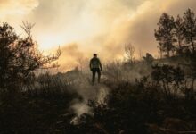 reuters:-Ο-λογαριασμός-της-κλιματικής-κρίσης-περνά-στα-κρατικά-ταμεία-–-Πώς-επηρεάζεται-η-Ελλάδα