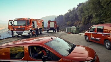 Πυροσβεστική:-39-αγροτοδασικές-πυρκαγιές,-δύο-συλλήψεις-και-βαριά-πρόστιμα-σε-ένα-24ωρο