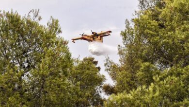 Φωτιά-τώρα-στους-Χράνους-Μεγαλόπολης,-σηκώθηκαν-τρία-αεροσκάφη