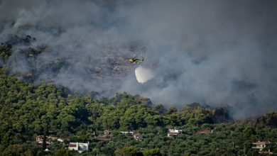 Φωτιά-σε-χαμηλή-βλάστηση-στο-Διμήνιο-Κορινθίας