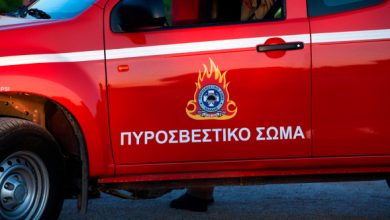 Φωτιά-σε-επιχείρηση-στο-Ωραιόκαστρο,-άμεση-κινητοποίηση-της-Πυροσβεστικής
