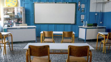 Νεαροί-έκρυβαν-κάνναβη-σε-φοίνικες-στο-προαύλιο-σχολείου-στα-Χανιά