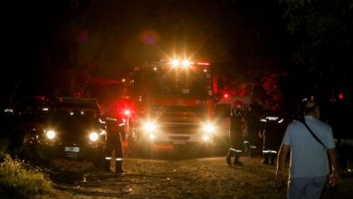 Υπό-μερικό-έλεγχο-η-φωτιά-στη-Σαγιάδα-Θεσπρωτίας