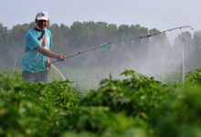 ΑΑΔΕ:-Ενίσχυση-14,6-εκατ-ευρώ-σε-34.200-δικαιούχους-για-το-κόστος-των-λιπασμάτων