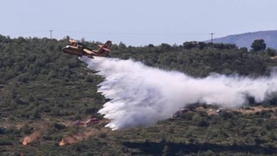 Φωτιά-τώρα-στην-Κεφαλονιά:-Στη-μάχη-και-εναέρια-μέσα-στα-Αννινάτα