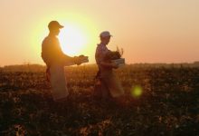 Πετρέλαιο-για-αγρότες:-Τι-αλλάζει-από-1η-Νοεμβρίου-με-την-απαλλαγή-φόρου-απευθείας-στην-αντλία